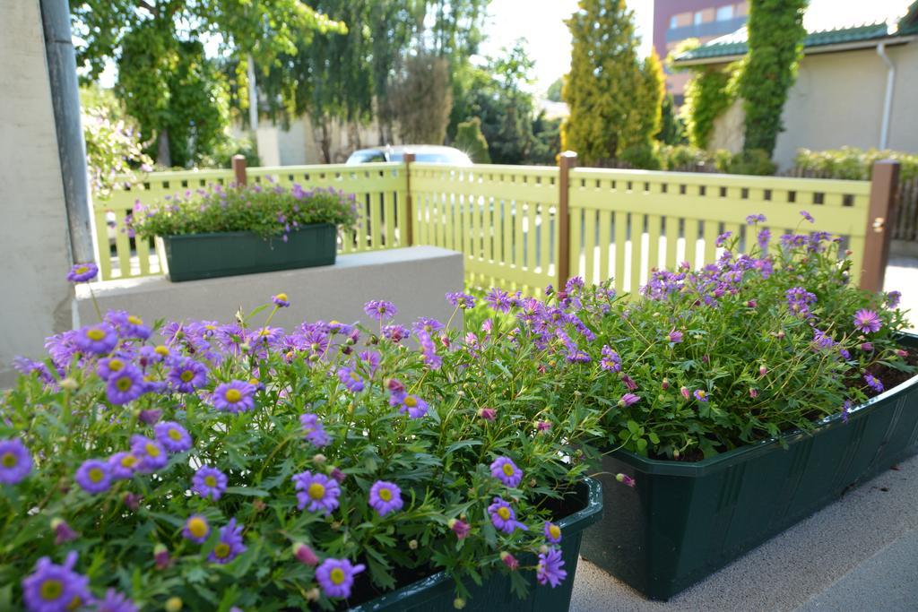Mare Apartments Palanga Bilik gambar